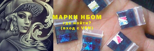 индика Мегион