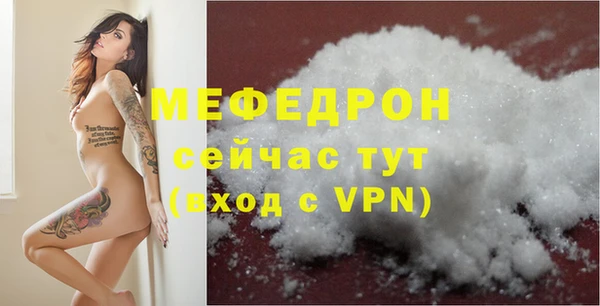 индика Мегион