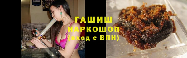 индика Мегион