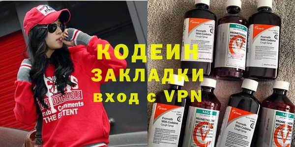 индика Мегион