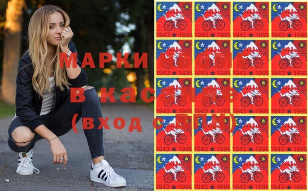 индика Мегион