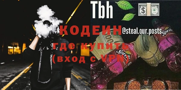 индика Мегион