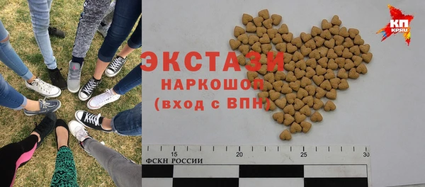 индика Мегион