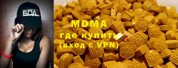 индика Мегион