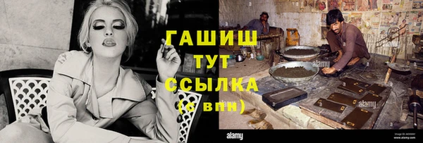 индика Мегион