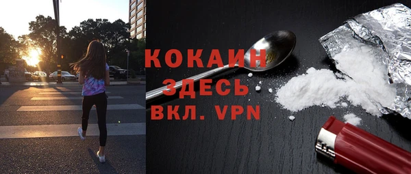 дурь Медвежьегорск