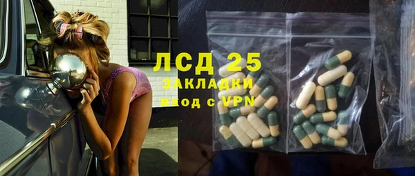 индика Мегион