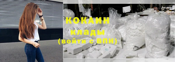 индика Мегион