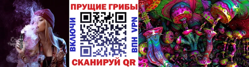 Псилоцибиновые грибы мухоморы  купить  сайты  Зима 