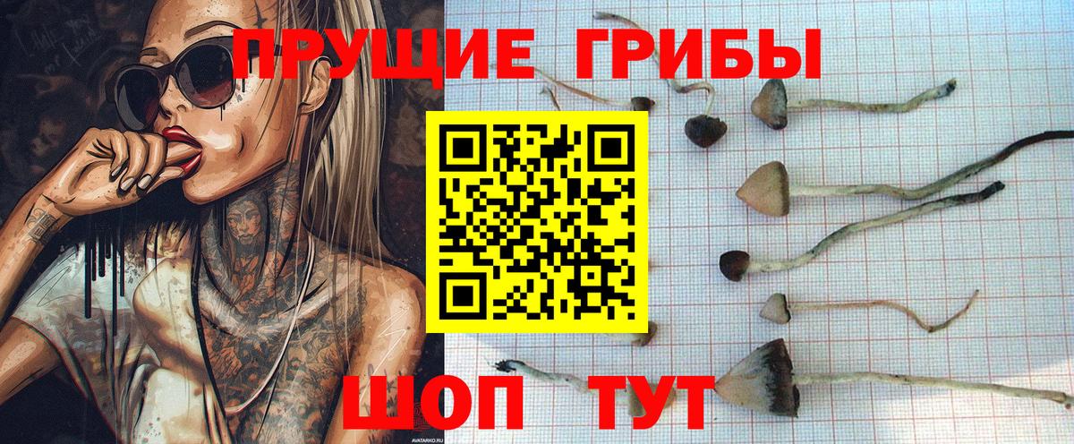 Галлюциногенные грибы ЛСД  Вход с VPN  Зима 